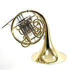 C g  Conn Model 11dn Professional Geyer Wrap French Horn Sn 663856 Superb