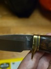 Buck Knives 191 Zipper Fixed Blade Hunting Knife Guthook Dymalux Walnut Usa Made