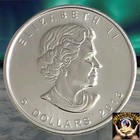2013 Canadian 1 Oz  9999 Silver Wood Bison  Wildlife Series  Pulled From Storage