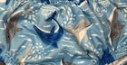 I Play Baby Boys  Reusable Swim Diaper  Blue  Dolphins 50 upf  6 Months 10-18lbs