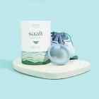 Saalt Menstrual Disc - Soft  Flexible  Reusable Medical-grade  Regular  us         