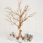 34  Gold Manzanita Tree With Garlands Wedding Party Centerpieces