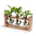 Plant Terrarium Propagation Station W  Wooden Stand Air Planter Bulb Glass Vase