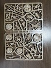 Grashrak s Despoilers - Beastgrave Warhammer Underworlds Beasts Of Chaos Aos