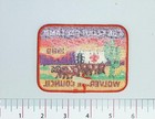Cub Scout Day Camp Scout Patch 1989 Wolverine Council