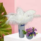 10pcs White Natural Ostrich Feathers Carnival Diy Costume Wedding Decoration