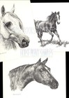  57 Boston Terrier    Dog Art Print   Pen   Ink Drawing   Jan Jellins
