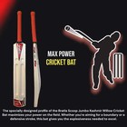 Bratla Scoop Jumbo Kashmir Willow Cricket Bat With Bat Cover - Adult Size