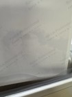 Elvis Presley 37 Photos In Photos Album Press Kodak