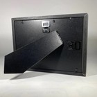 Sunset Moth Urania Rhipheus Real Framed Madagascar Moth Taxidermy Display