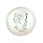 2004 Silver Canadian  5 Maple
