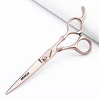 Professional Hairdressing Scissors 6 Inch Genuine Hairsalon Barber Specific Thin