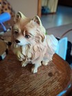 Pomeranian Ceramic  Vintage Figurine  Japan
