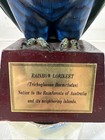 Vintage Rainbow Lorikeet Parrot Hidden Telephone Sculpture Decor  non-working 