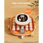 Automatic Egg Incubator 25 Egg Capacity With Turner Digital Thermometer Humidity