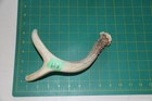 Large Branched Deer Antler Dog Chew  49   Bone Chews Deer Elk Treats Deer 1102