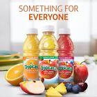  24 Pack  Tropicana 100  Juice With Rich Vitamins  3 Flavor Classic  10 Fl Oz