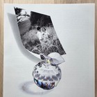 1992 Swarovski Silver Crystal Apple Life   s Precious Gifts Vintage Print Ad Art