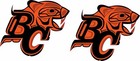Bc Lions Alternate Full Size Football Helmet Decals