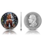 Waterfall Temptation - 1 Oz 999 9 Silver Coin 5  Canada 2026