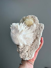 Zeolite Crystal Cluster Geode Raw Large Mordenite Stilbite Mineral Specimen A6