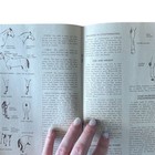 Vtg 1969 Judging American Quarter Horses Booklet Official Guide Western Ranch