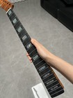 Aaaaa Ebony Reverse Abalone Shells 22frets Roasting Flame Maple Electric Guitar