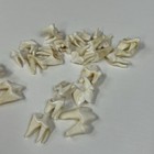 Lot Of 20 Real Coyote Molars Teeth Taxidermy Art Weird Odd Project Unqiue   2536