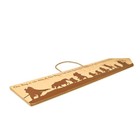 The Lord Of The Rings The Fellowship Framed Wooden Sign   20 X 5 Inches