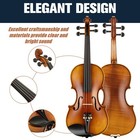 Violin 4 4 Full Size Hand Oil Rub Flamed Solidwood Kit D Addario Cecilio Highly