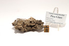 Pica Glass Meteorite Impact Glass  21 15 Grams  Atacama  Chili  Nice Example 