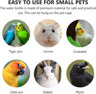 Small Animal Water Bottle 2 Pack No Drip Guinea Pig Rabbit Dispenser 350ml Bunny