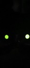Russian Oh 1x20 Night Vision Goggles Gen 1 