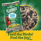 Pennington Classic Dry Wild Bird Feed And Wild Bird Seed  10 Lb  New Bag  2 Pack