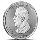 2025 1 Oz Canadian Platinum Maple Leaf Coin  bu 