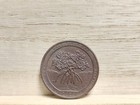 2020 P Salt River Bay Us Quarter Error Missing Clad  5 7g  24mm  2mm Thick 