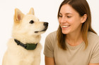Jugbow Electronic Dog Training Collar Dt-61 Safely   Simply Range 4200 Ft