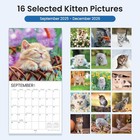 Sunee Wall Calendar 2026  Kittens From September 2025 To Kitten 