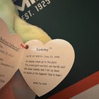 Ty Beanie Babies 1998    sammy    The Bear Pre-owned W original Tags rare  Tag Error