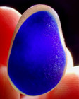 Large Layered Cobalt Blue   Clear Front   Real Davenport Beach Sea Glass Multi
