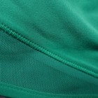 New Lululemon Size 4 Hotty Hot High Rise Hr Short 4    Lined Casg Cascadia Green
