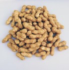 100 Fake Peanut With Mud Artificial Fruit Vegetable Foam Groundnut Home Decor