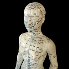 Acupuncture 18  Female Model Doll Human Body Chinese Medicine Teaching No Base