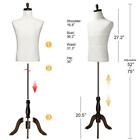Male Dress Form  Male Mannequin Display Sewing Torso Body Adjustable Height