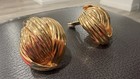 Norma Jean Signed Gold Tone Clip-on Oval Shell Swirl Earrings No Stone