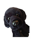 Fao Schwarz Black Labrador Retriever Puppy Plush Stuffed Animal Dog 11 