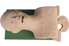 Airway Management Model  Healthcare Training Airway Manikin Patient Simulators