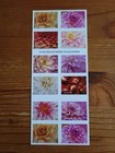 2025 Usps Sheet Of 20 First Class Letter Stamps Dahlia