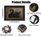 Black Swan Framed Wall Art  Moody Vintage Animal Canvas Print With Gold Accen   