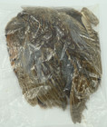Ringneck Pheasant Skin - Hareline Dubbin Fly Tying Feathers